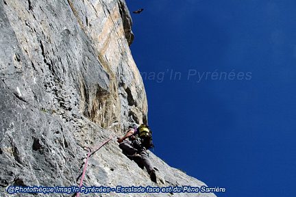 Ascension de la face est du Pène Sarrière avec un vautour