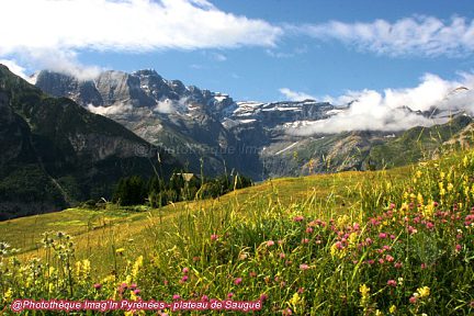 Granges du plateau de Saugué orientées Nord-Sud