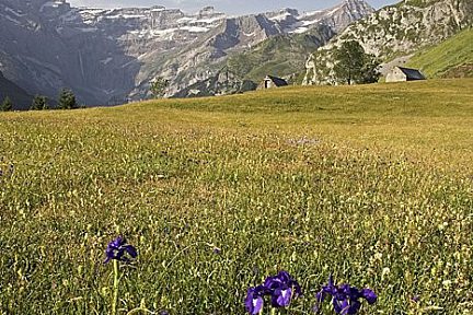 Plateau de Saugué