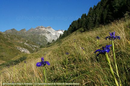 Massif du Vignemale : le vallon de Sausse-Dessus près de Gavarnie