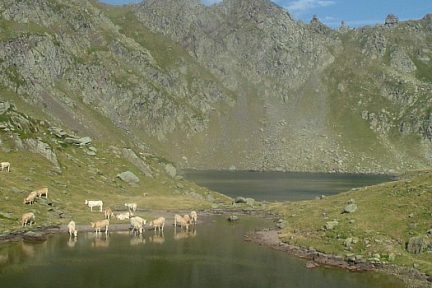 Lac Bersau et son laquet