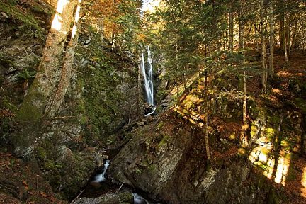 Cascade d'Arizes dans la forêt
