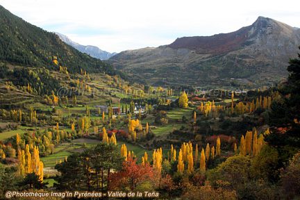 Automne en vallée de Tena, peupliers de Sallent-de-Gállego