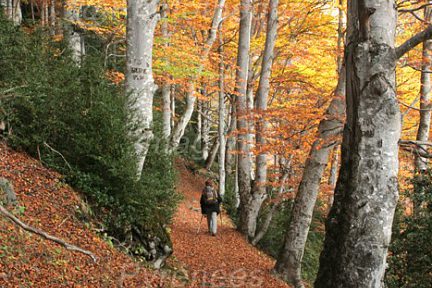 Automne en vallée de Tena, sentier vers le lac de Respumoso