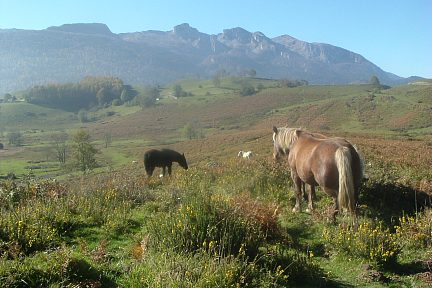 Le plateau du Bénou et ses sommets