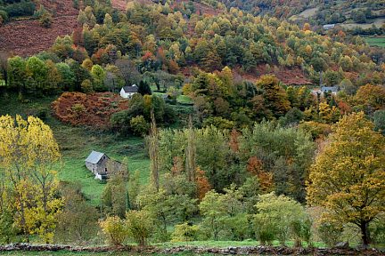 Automne en vallée d'Aspe