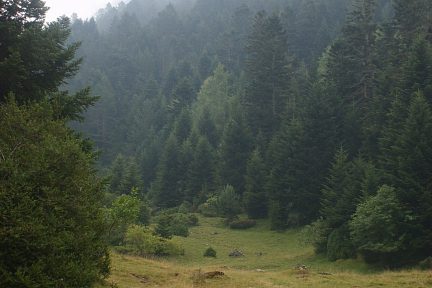 Sortie de la forêt de Hitte Longue, au lac de Consaterre