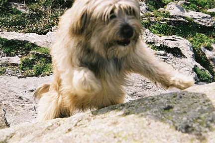 Voyou attaque la voie Sud du rocher mystérieux