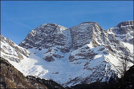 Astazous saupoudrés de neige