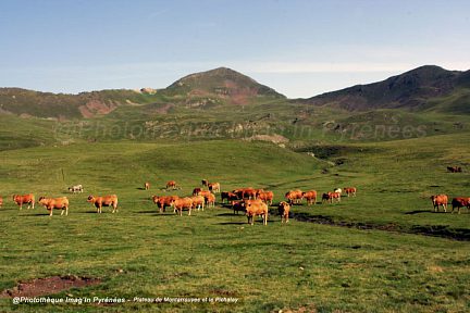 Le plateau de Montarrouyes fermé par le Pichaley