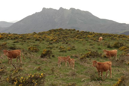 Sur le flanc Sud-Ouest du Mandale
