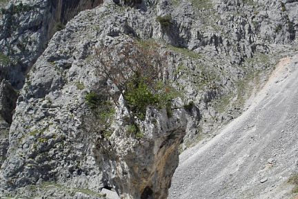 Ruta del Cares, vue 7 sur les Pics d'Europe