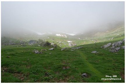 Vallon d'Anaye au printemps