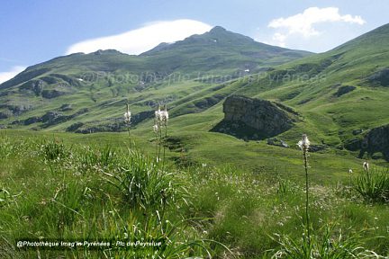 Le pic de Peyrelue vu depuis le Port-Vieux-de-Sallent