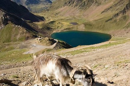 Lac d'Oncet en montant au pic du Midi