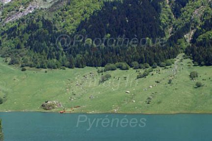 Le lac du Tech vu en redescendant de Bouleste