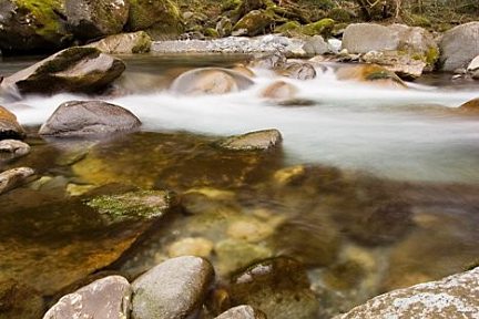 Cascades entre Pierrefitte et Cauterets - vue 4