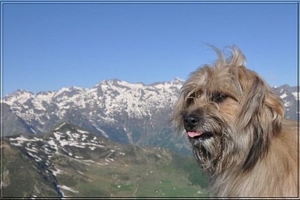 Le Bergons