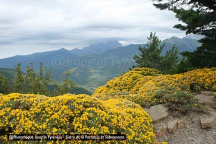 Sierra de la Partacua et Sobremonte vers le Tozal de Metils