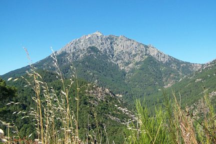 Monte d'Oro
