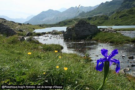 lac du barrage d'Ossoue