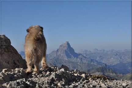 La vue sur Ossau ne laisse personne indifférent