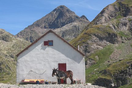 Petite cabane près du lac