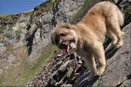 En descendant du col d'Oncet