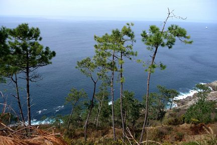 Très beau point de vue sur la côte