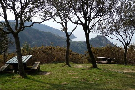 Aire de picnic près du fort