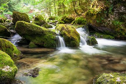 Petite cascade dans le Cirque de Saint Même - Chartreuse
