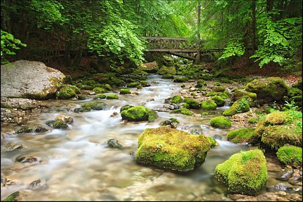 Pont et cours d'eau dans le cirque de Saint Même