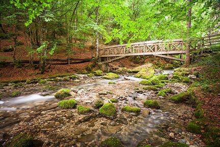 Pont en bois du cirque de Saint Même
