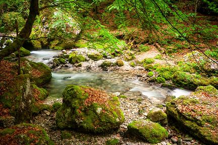 Cours d'eau dans la forêt au cirque de Saint Même