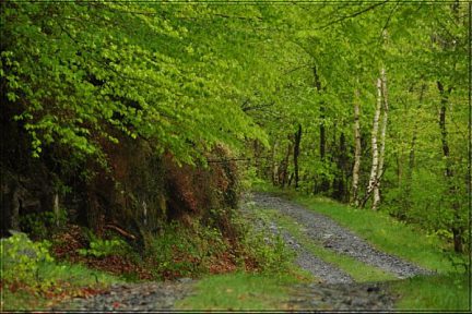 La piste du bois du Boustu