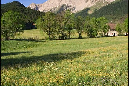 Autre vue du Grand Veymont au début de l'ascension