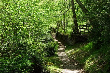 Le sentier