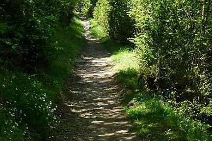 Sentier VTT