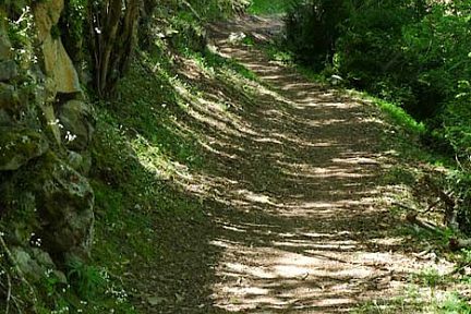 Toujours le sentier
