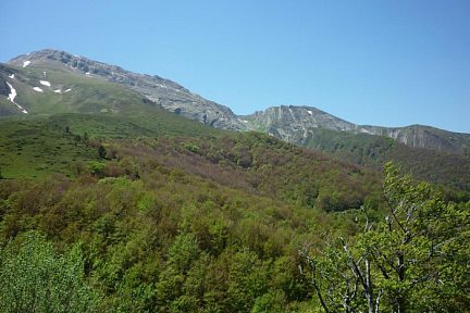 Le pic d'Orhy et sa crête Nord-Ouest depuis la route du Port de Larrau