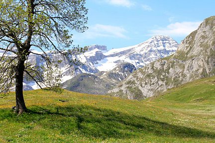 Vue sur le Taillon depuis le plateau de Saugué