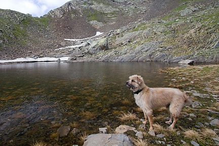 Voyou, notre guide pendant la montée
