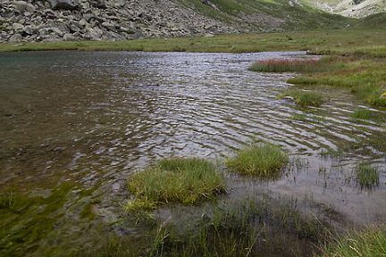 Lac de Cestrède