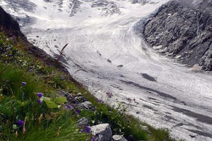 Grandes Jorasses