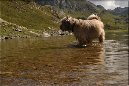 Le lac vert, une baignade rafraîchissante