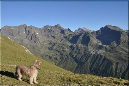 Vallée d'Aspe, vue sur le soum de Male et Cestrède