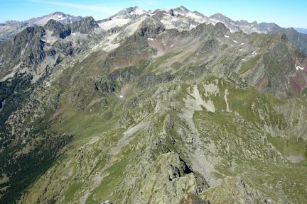 Sauvegarde