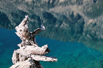 le lac Noir