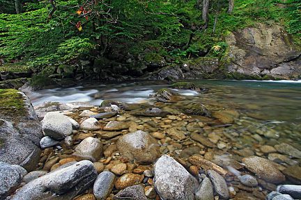 Rivière entre la Raillère et le pont d'Espagne