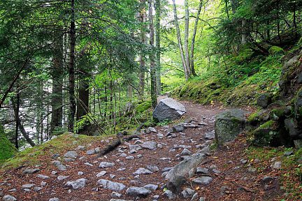 Chemin des cascades, de la Raillère au pont d'Espagne